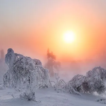 Tupasvilla Saariselkä