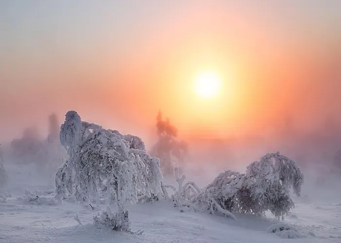 Tupasvilla סאריסלקה
