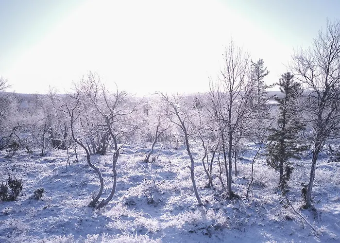 Tupasvilla וילה *